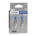 H1 12V, 55W, 5000K P14,5s 2tk XENIUM BLU