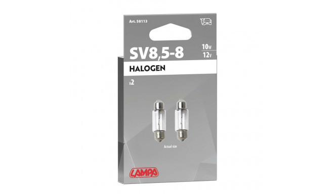 Pirnid 2tk 10W 10x31mm SV8,5-8