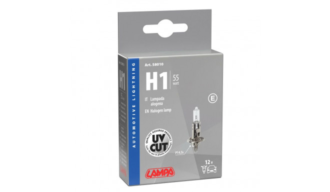 H1 55W