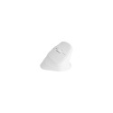 NATEC Crake 2 mouse Universal Right-hand RF Wireless + Bluetooth Optical 2400 DPI