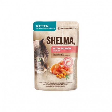SHELMA Kitten with salmon in sauce - wet cat food - 85g
