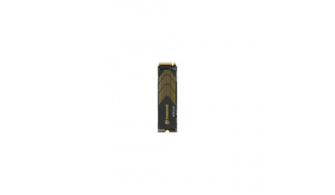 "TRANSCEND 1TB M.2 2280 PCIe Gen4x4 NVMe 3D TLC with Dram Graphene Heatsink"
