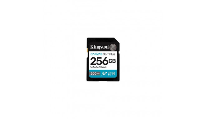 Memory card SD 256GB Canvas Go Plus 200/160 MB/s C10 U3 V30