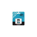 Memory card SD 256GB Canvas Go Plus 200/160 MB/s C10 U3 V30