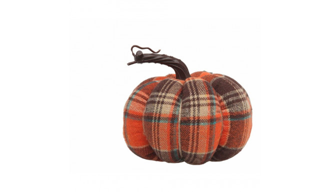 Kõrvits Mitmevärviline