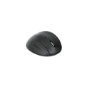 "MANHATTAN Ergonomische Funkmaus USB-A/C 6 Tasten + Mausrad"