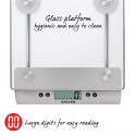 Salter 3003 SSSVDRCEU16 Aquatronic Glass Digital Kitchen Scale