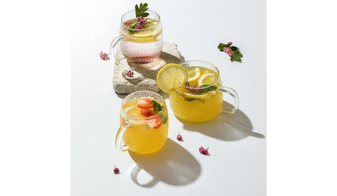 klaasid Savia klaas 500ml 2 tk