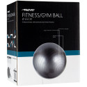 Gym Ball AVENTO 42OB 65cm Silver