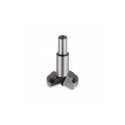 Forstner puur 30x8x60mm
