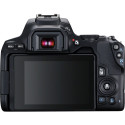 Canon EOS 250D + EF-S 10-18mm  IS STM