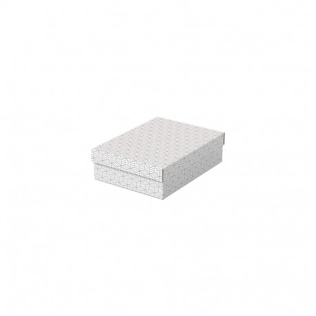 Hoiukast kaanega, kokkupandav, valge, 3 tk komplekt, 265 x 100 x 360 mm, Esselte Home Storage Box Lo