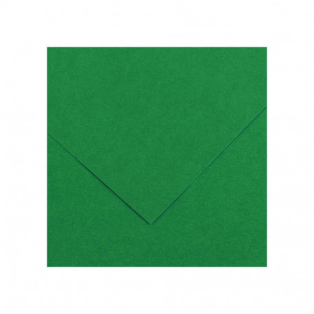 Kartong Vivaldi 50x65/240g 30 aasaroheline