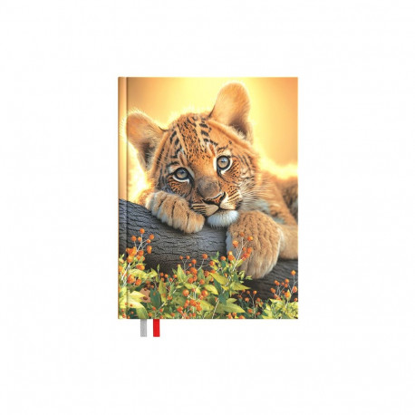 Märkmik Kantsler Flexi 140x190mm, täpp, Samba, kõvaköide, painduvad disainkaaned, Timer