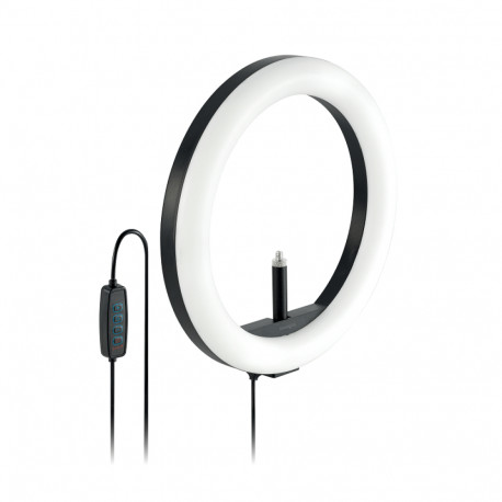 Kensington ring light K87653WW L1000