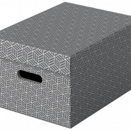 Hoiukast kaanega, kartongist, kokkupandav, hall, 3 tk komplekt, 265 x 205 x 365 mm, Esselte Home Sto
