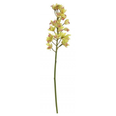 Kunstlill TSÜMBIIDIUM Mini / roheline 67cm