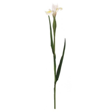 Kunstlill IIRIS/ valge 70cm