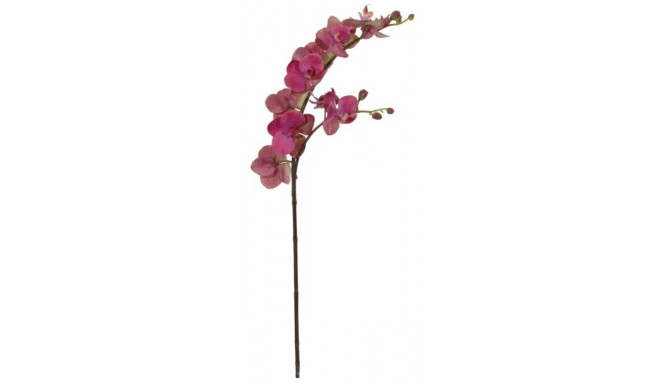 Kunstlill ORHIDEE x2 / soe lilla 73cm