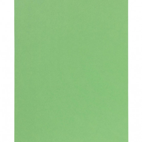 Värviline paber, A3 120g, 100 lehte, heleroheline