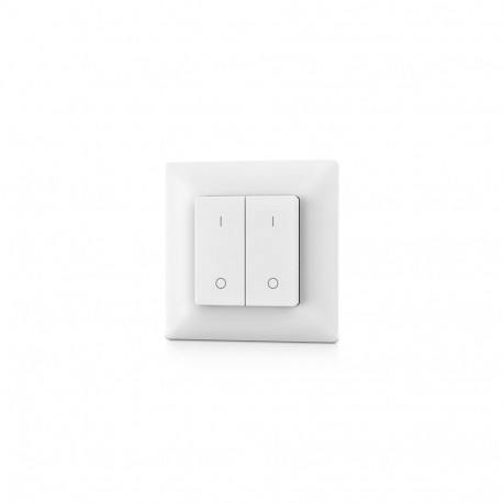 PF1-2 RF Remote Control, Single Color, 2 Zones