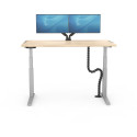 Fellowes Cablespine must