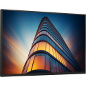 Dell P2425HEWO- 100Hz | Full HD | 23,8'' | IPS | 8ms