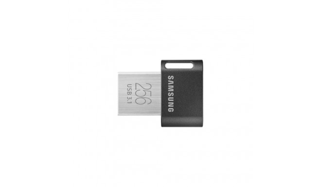 Samsung Fit Plus 256 GB, USB stick (black, USB-A 3.2 (5 Gbit / s))