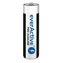 Aluseline patareid everActive Pro Alkaline LR6 AA - blisterkaart - 4 tükki