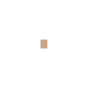 Clinique Superpowder Double Face Makeup (10g)