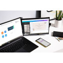 Mobile Pixels Duex Max DS 14,1  Bildschirmerweiterung