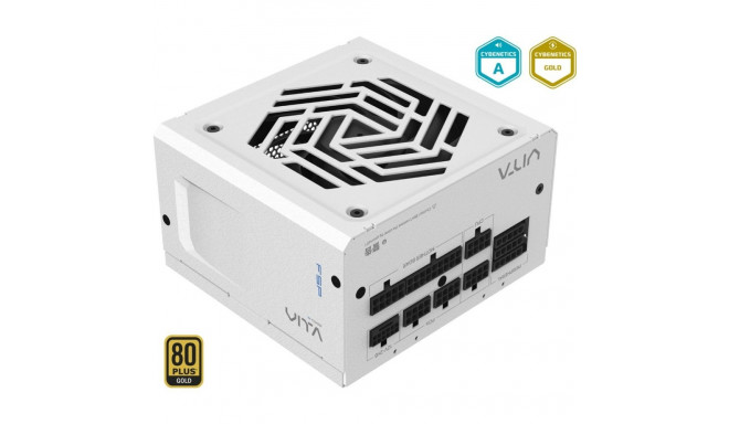 FSP VITA GM 850W WHITE, PC power supply (white, 850 watts)