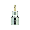 1/2" torx padrun T-25