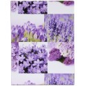 Henzo photo box Floral 220x170x115, assorted