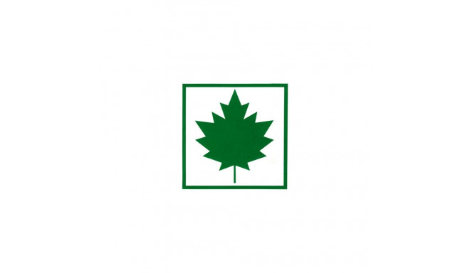 Vahtraleht kartongist 2tk