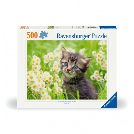 Ravensburger pusle 500 tk: kass aias