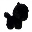 Mascot Teddy Pets Tuxedo cat