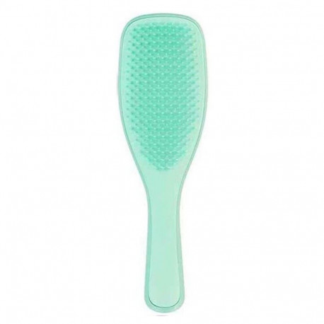 TANGLE TEEZER THE FINE AND FRAGILE WET CEPILLO DESENREDANTE 1UN