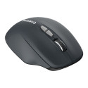 CANYON MW-21, 2.4 GHz Wireless mouse,with 7 buttons, DPI 800/1200/1600, Battery:AAA*2pcs,Dark gray72