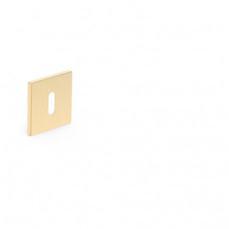 ESCHUTCHEON FOR KEY GOLD