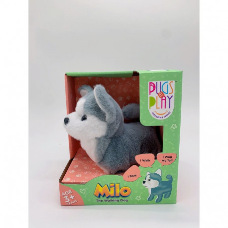 PUGS AT PLAY Milo Walking Dog