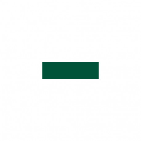 Aerosoolvärv Platinum, RAL6005 siidmatt samblaroheline 400ml