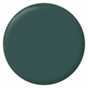 Primer Paint Ripolin Vert 2,5 L Matt