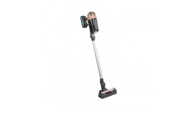 Rowenta X Force Flex tolmuimeja