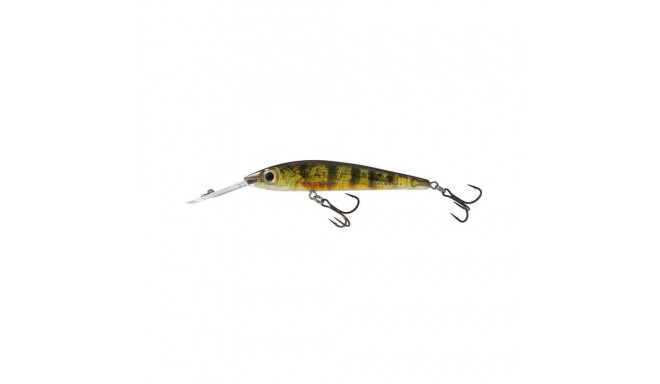 Lure Rattlin' Sting 9DR 9cm/11g/2.5-4.5m RYP