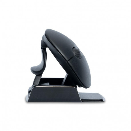 MOUSE USB OPTICAL WRL TWISTER/BLACK RGOTWBMWLBL R-GO TOOLS