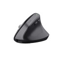 MOUSE USB OPTICAL WRL BAYO+/ERGONOMIC BLK 25146 TRUST