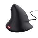 MOUSE USB OPTICAL GXT 144 REXX/22991 TRUST