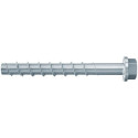 Fischer 536878 screw/bolt 150 mm 10 pc(s)
