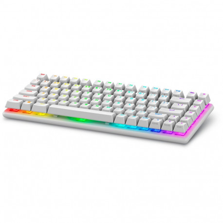 "DELL Alienware Pro Wireless Gaming Keyboard Lunar Light US QWERTY"